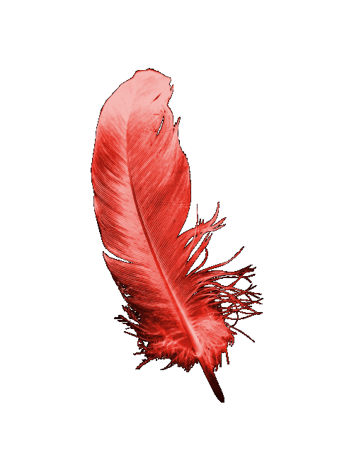 Crimson Feather